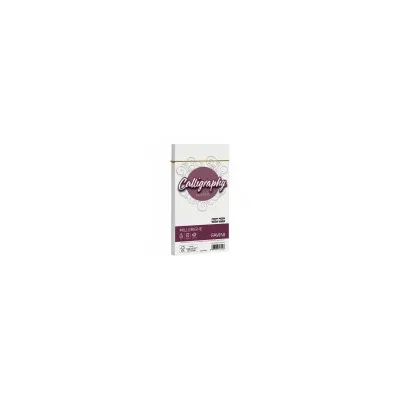 CARTOTECNICA FAVINI CF25BUSTEMILLERIGHE 11X22 100G BIAN A570424
