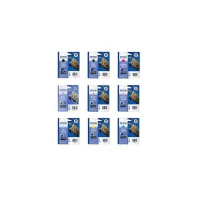 CARTUCCIA ORIGINALE EPSON T1571 C13T15714010 Photo R3000 NERO PHOTO