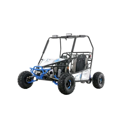 Buggy Ztech Triton 125cc Ruota 7" Automatico