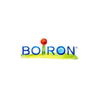 BO.APIS MELL.15CH TUBO