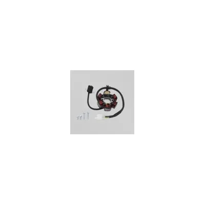 Statore 6 bobine motori 4 tempi