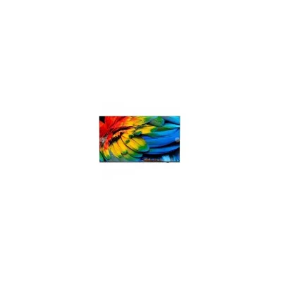 Philips Hotel tv 58 MEDIASUITE IPTV 4K CHROMECAST 58HFL6214U/12