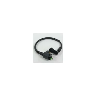 Bobina di accensione standard, per Quad, Pit Bike, Dirt Bike