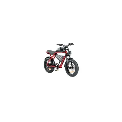 Bici Elettrica Ztech ZT-75B Legacy 4.0 250W