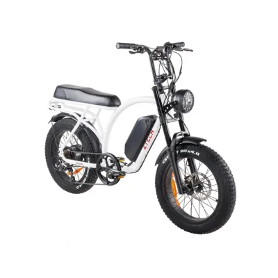 Bici Elettrica Ztech ZT-86B Legacy 2 250W