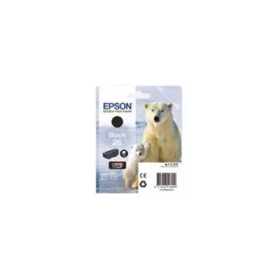 ORSO POLARE C13T26014022