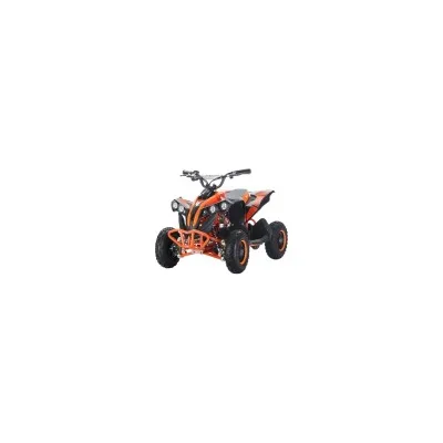 Mini Quad CVM Mini Lion Elettrico 1200W R6