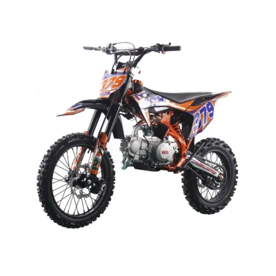 Pit Bike NCX Thor Evolution 125 17/14 4 Marce