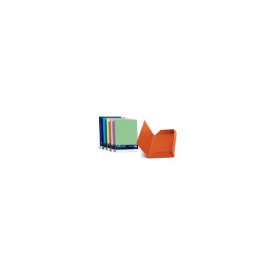 CARTOTECNICA FAVINI CF25 CARTELLINE 3 LEMBI BIANCO A500434