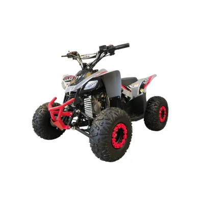 Mini Quad LEM Baby Kondor 110cc Ruote 6"