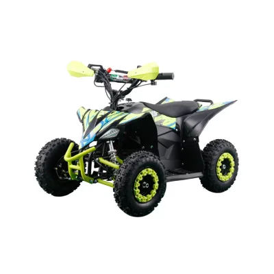 Mini Quad NCX Furious Big R6 1000W Elettrico