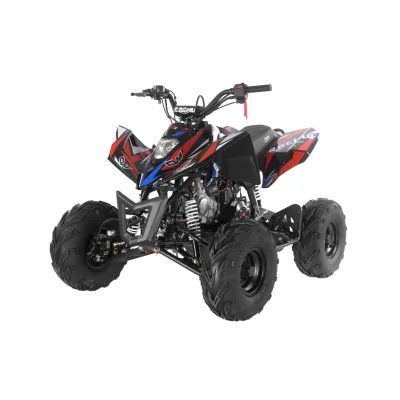 Quad Apollo Sniper 125cc Ruota 7