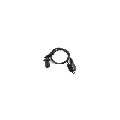 Bobina di accensione per CG 125cc 150cc 200cc 250cc ATV Quad 4 ruote Taotao Sunl