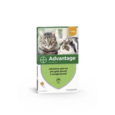 Advantage 40 mg Soluzione Antiparassitaria Spot-On Gatti e Conigli 4 Pipette