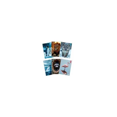 BM - BeMore CF 10 QUADERNI ANIMAL A4 80GR R.C 0110377