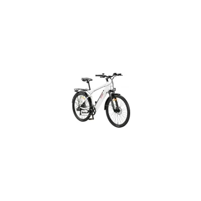 Bici Elettrica Ztech ZT-84 Udine 250W