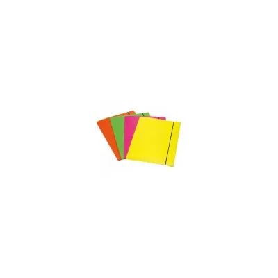 FELLOWES LEONARDI CF4 CARTELLE ELASTICO FLUO SHOCKING 1028001