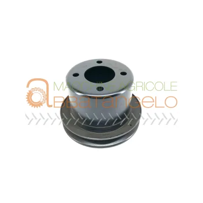 PULEGGIA PERKINS 31146009