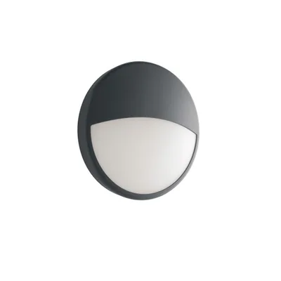 Applique per esterni antracite rotonda in policarbonato, LED 20W, CCT, 22.1x22.1cm