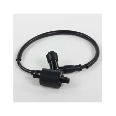 Bobina di accensione alta tensione, per Pit Bike, Quad, Dirt Bike