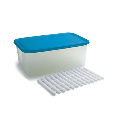 Contenitore Ermetico con Griglia 4,5 L 29x19 cm