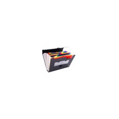 LEBEZ SPA CARTELLA PORTADOCUMENTI 25 TASCHE 2580