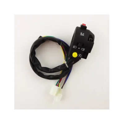 Interruttore di controllo ATV sinistro Assy per 50cc 70cc 90cc 110cc 125cc Kazuma Taotao Sunl