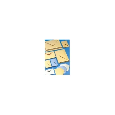 BLASETTI CF250 BUSTE GIALLE 25X35.3 GR100 180A