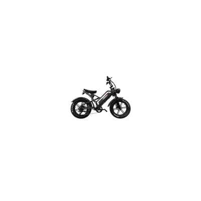 Fat Bike Elettrica OmBike 500W 48V 20h
