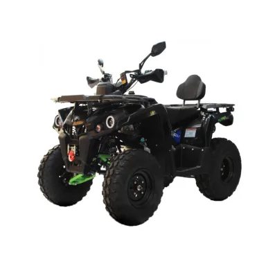 Quad LEM Hummer 200cc Ruote 10" Targabile T3