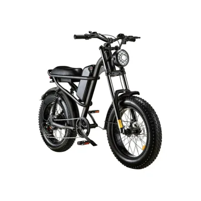 FatBike NCX Flat Track Nude 500W 48V 16Ah