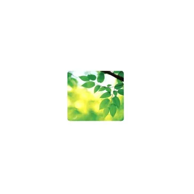 FELLOWES LEONARDI MOUSEPAD ECO EARTHSERIES FOGLIE 5903801