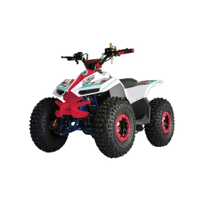 Mini Quad E-ATV LEM Grizzly Electric 750W