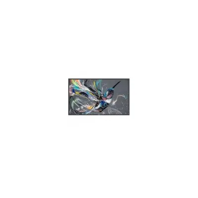 PHILIPS DS MONITOR 50 Q-LINE 18/7 4K 50BDL3511Q