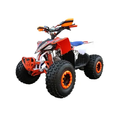 Quad NCX Furious Slim FT 125cc R8