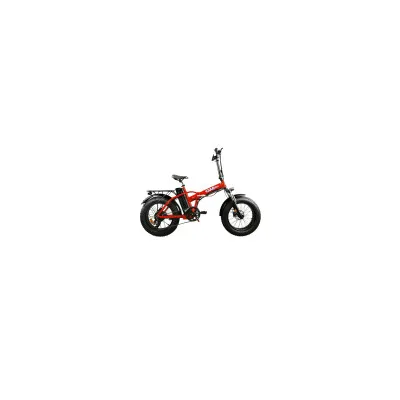 Bici Elettrica Pieghevole OmBike 500W 48V 16Ah