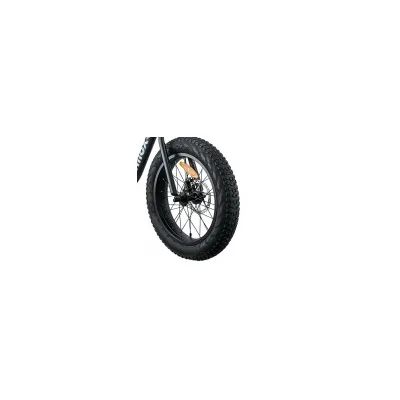 NILOX URBAN FIGHTER PNEUMATICO ANTER EBIKE J5 NAT GEO ZM9SPJ50007