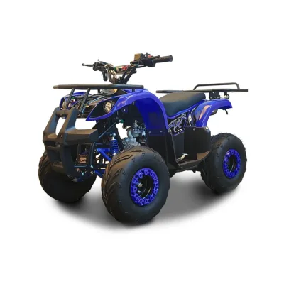 Quad T-REX 125 R7 SUPER WELL