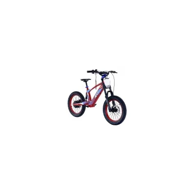 Bici Elettrica Apollo Junior RXF EVO 500W 18"