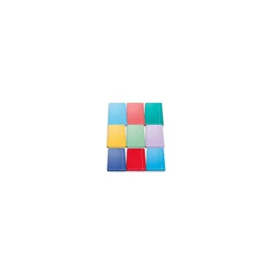 PIGNA CF6CARTELLA C/ELASTICO 3LEMBI MONOC 02137333L