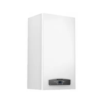 Caldaia a Camera Aperta Ariston CARES X 24 CF GPL