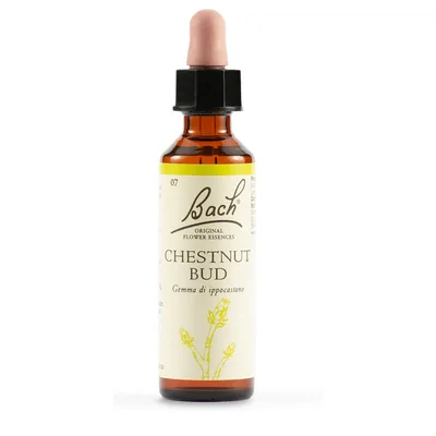 BACH 7 Chestnut Bud 20ml LKR