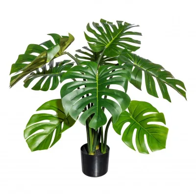 Adriani & Rossi Pianta artificiale Splitphilodendron Big